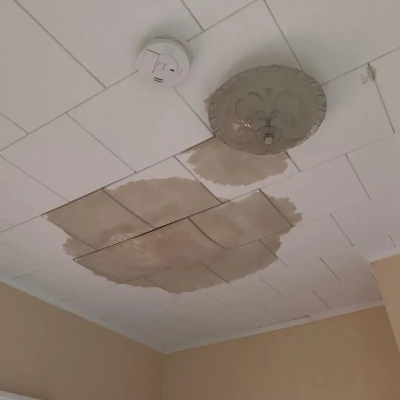 Ceiling Water Damage Repair in Ellinwood, KS