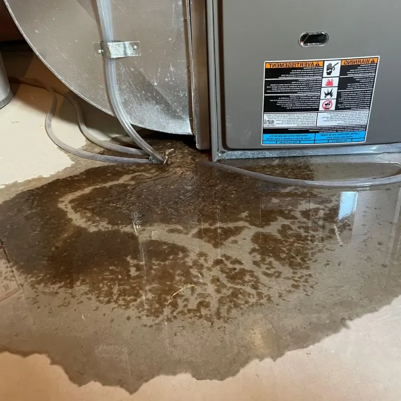 Pipe Burst and Leak Restoration in Ellinwood, KS