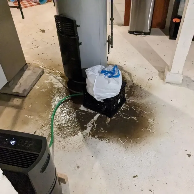 Sewage Backup Cleanup Service in Ellinwood, KS